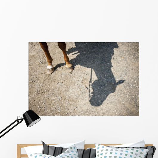 Horse Legs and Shadow Wall Decal