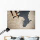 Horse Legs and Shadow Wall Decal