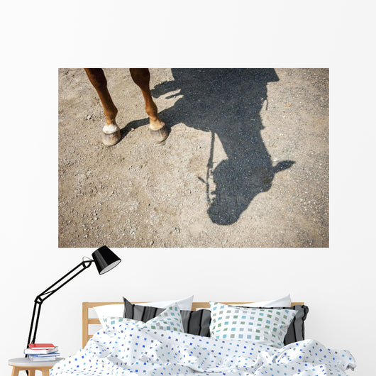 Horse Legs and Shadow Wall Decal