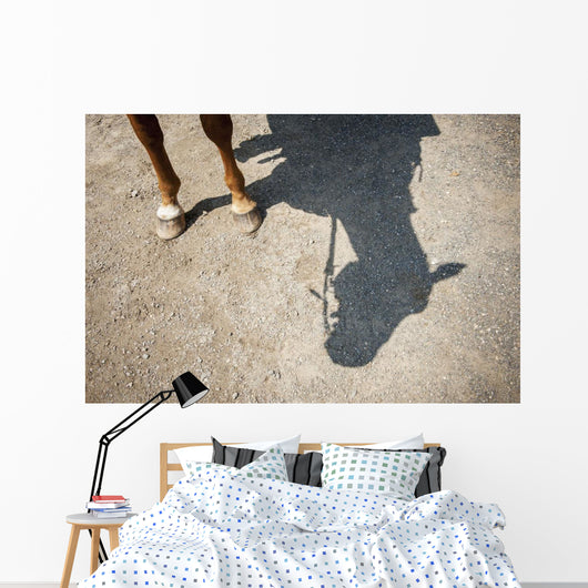 Horse Legs and Shadow Wall Decal