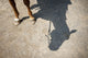 Horse Legs and Shadow Wall Decal