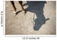 Horse Legs and Shadow Wall Decal
