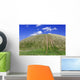Tire Tracks Grassy Hill Wall Decal