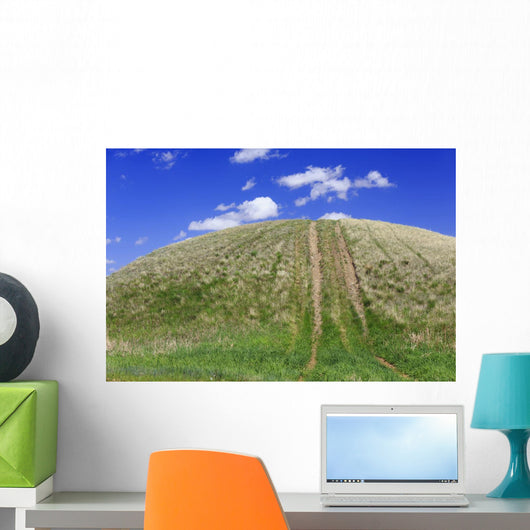 Tire Tracks Grassy Hill Wall Decal