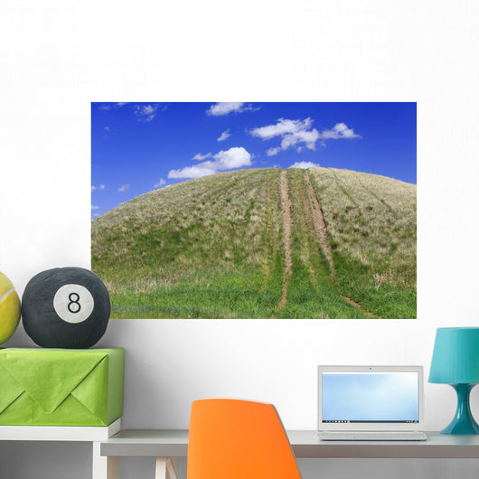 Tire Tracks Grassy Hill Wall Decal