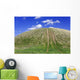 Tire Tracks Grassy Hill Wall Decal