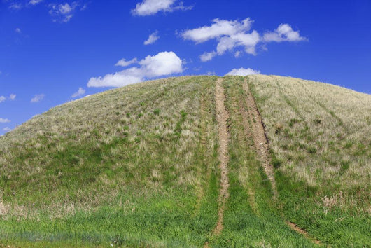 Tire Tracks Grassy Hill Wall Decal