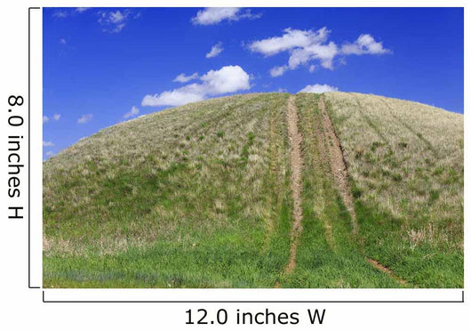 Tire Tracks Grassy Hill Wall Decal