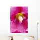 Up Hollyhocks Wall Decal