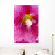Up Hollyhocks Wall Decal