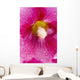 Up Hollyhocks Wall Decal