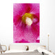 Up Hollyhocks Wall Decal