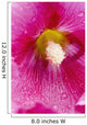 Up Hollyhocks Wall Decal