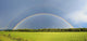 Double Rainbow over Trees Wall Decal
