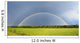 Double Rainbow over Trees Wall Decal