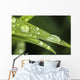 Up Day Lily Leaves Wall Decal