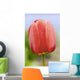 Up Tulip Wall Decal