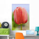 Up Tulip Wall Decal