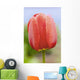 Up Tulip Wall Decal