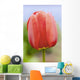 Up Tulip Wall Decal