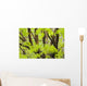 Leaves Maple Tree Blurred Wall Decal