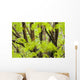 Leaves Maple Tree Blurred Wall Decal