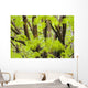 Leaves Maple Tree Blurred Wall Decal