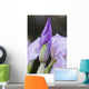 Up Iris Wall Decal