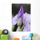 Up Iris Wall Decal