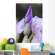 Up Iris Wall Decal