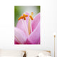 Up Lily Wall Decal