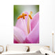 Up Lily Wall Decal