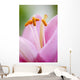 Up Lily Wall Decal