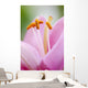 Up Lily Wall Decal