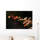 Up Berberis Wall Decal Design 2