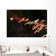 Up Berberis Wall Decal Design 2