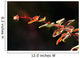 Up Berberis Wall Decal Design 2