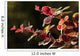 Up Berberis Wall Decal Design 1