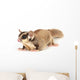 Sugar Glider Wall Decal