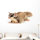 Sugar Glider Wall Decal