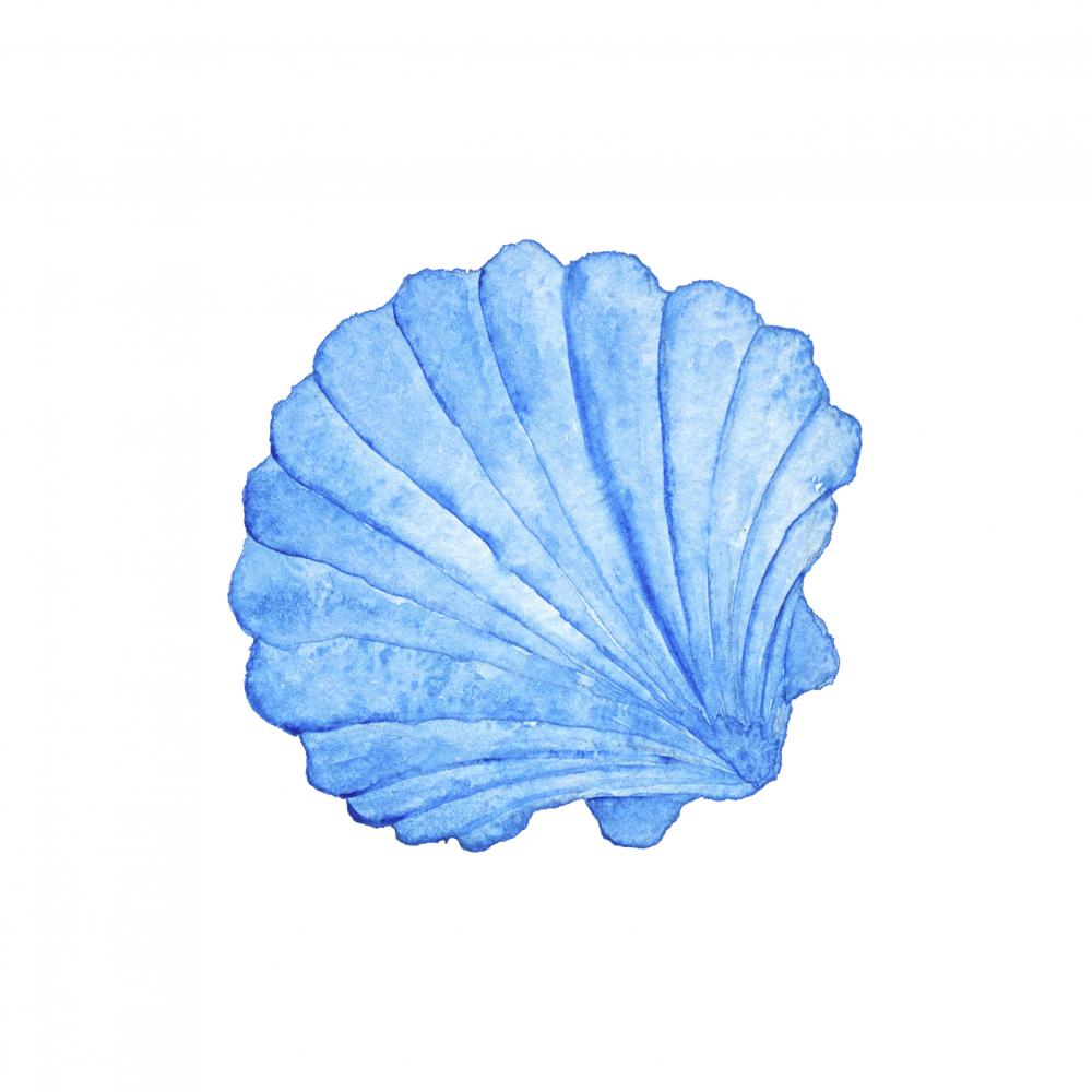 Blue Nautical Watercolor Seashell Wall Decal – Wallmonkeys