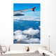 aerial view from airplane Wall Mural