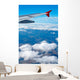 aerial view from airplane Wall Mural
