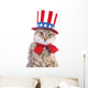 Cute patriotic cat Wall Decal
