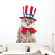 Cute patriotic cat Wall Decal