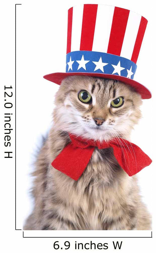 Cute patriotic cat Wall Decal