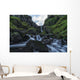 Unnamed Stream Flows Wall Decal