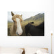 Icelandic Horses Wall Decal