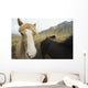 Icelandic Horses Wall Decal
