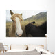 Icelandic Horses Wall Decal